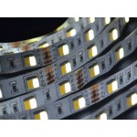 Светодиодная лента 5050/60 (IP20) Multi White standart